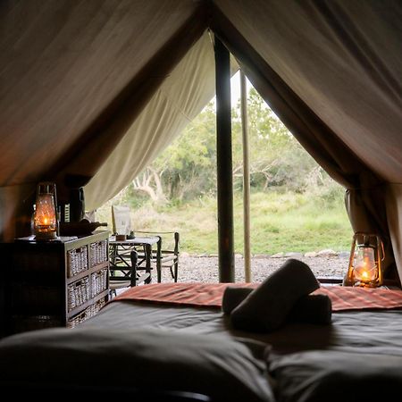 Quatermain'S 1920'S Safari Camp - Amakhala Game Reserve Luaran gambar