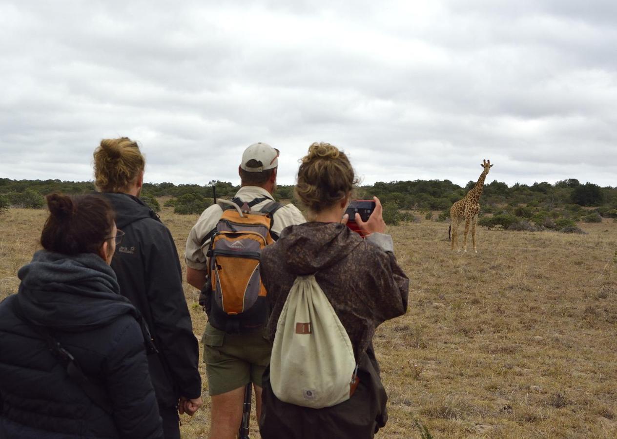Quatermain'S 1920'S Safari Camp - Amakhala Game Reserve Luaran gambar