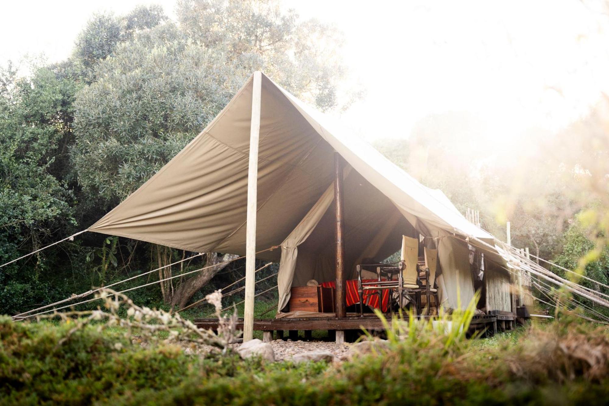 Quatermain'S 1920'S Safari Camp - Amakhala Game Reserve Luaran gambar