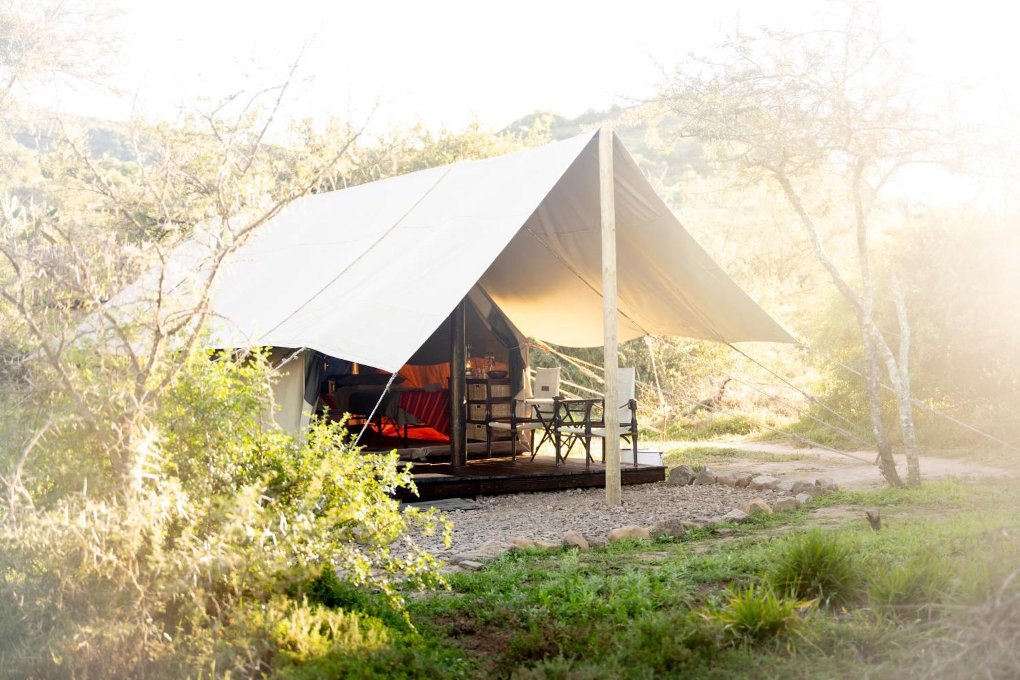 Quatermain'S 1920'S Safari Camp - Amakhala Game Reserve Luaran gambar