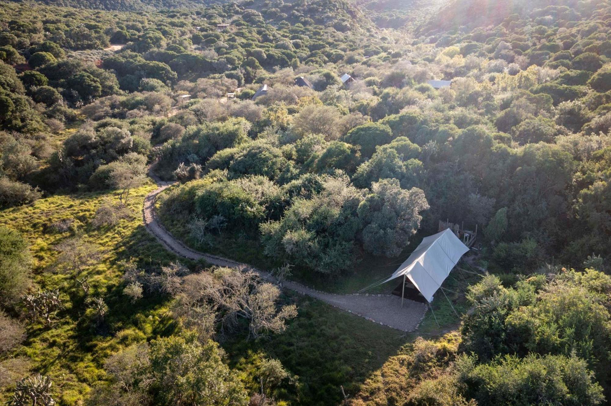Quatermain'S 1920'S Safari Camp - Amakhala Game Reserve Luaran gambar