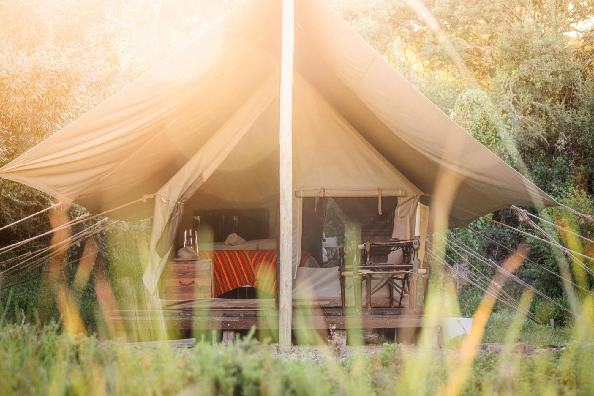 Quatermain'S 1920'S Safari Camp - Amakhala Game Reserve Luaran gambar