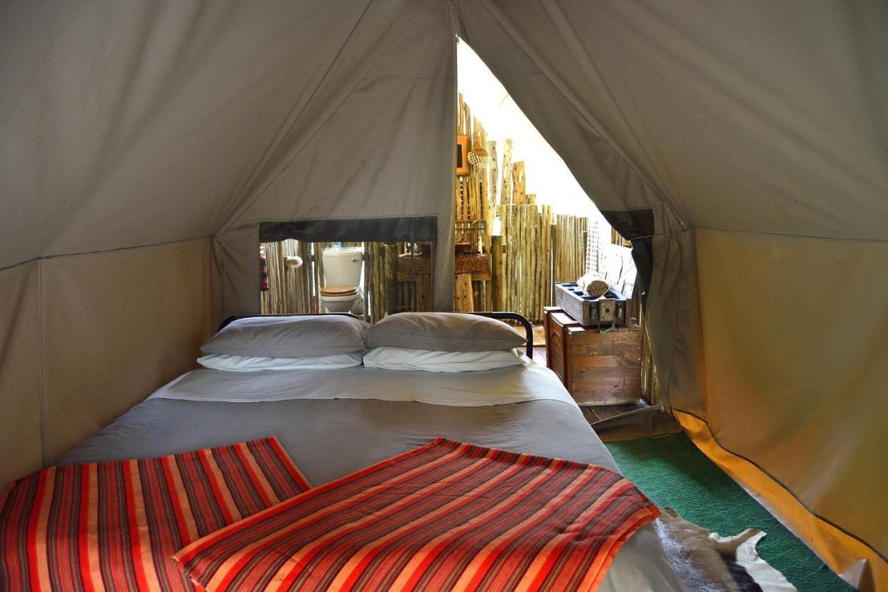 Quatermain'S 1920'S Safari Camp - Amakhala Game Reserve Luaran gambar